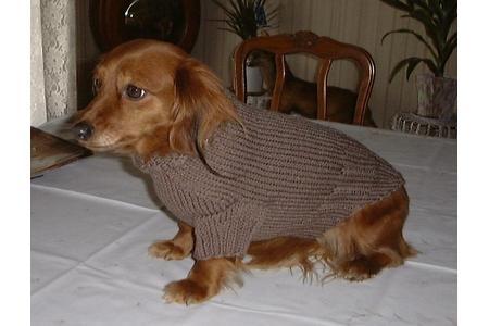 Modèles PDF Tricots  pour Toutou-Chien de la Taille XS, S, L, M, XL, XXL, XXXL,Création FINOUCREATOU.COM