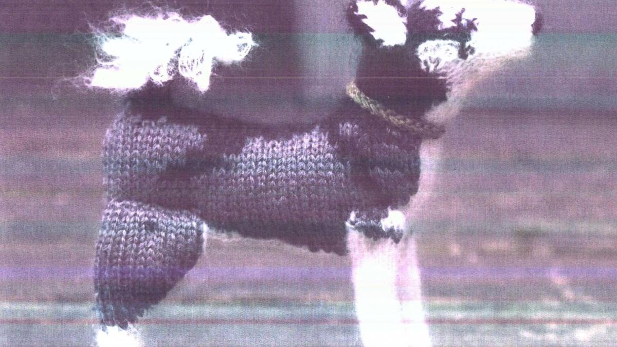 TUTOS NEW-Voici PDF modèle gratuit Chien de traîneau,Husky en Tricot